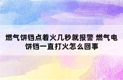 燃气饼铛点着火几秒就报警 燃气电饼铛一直打火怎么回事